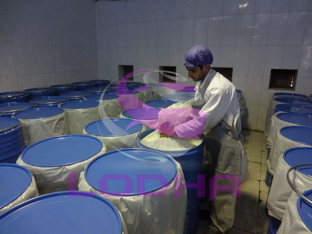 White Petroleum Jelly Packaging